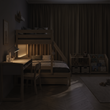 [v:1:natur] night