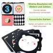 BusyKids Montessori-Set für Babys von 0 bis 6 Monaten